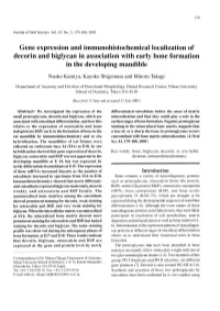 Gene Expression and Immunohistochemical Localization of Decorin and Biglycan in Association with Early Bone Formation in the Developing Mandible
