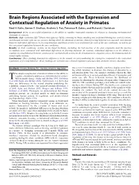 Brain Regions Associated with the Expression and Contextual Regulation of Anxiety in Primates Ned H