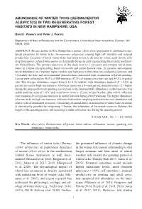 Dermacentor Albipictus) in Two Regenerating Forest Habitats in New Hampshire, Usa