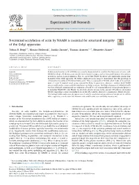 N-Terminal Acetylation of Actin by NAA80 Is Essential for Structural Integrity of the Golgi Apparatus T