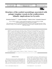 Structure of the Seabird Assemblage Associated with Pelagic Longline Vessels in the Southwestern Atlantic: Implications for Bycatch