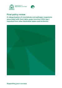 Final Policy Review
