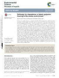Pathways for Degradation of Plastic Polymers Floating in the Marine Environment
