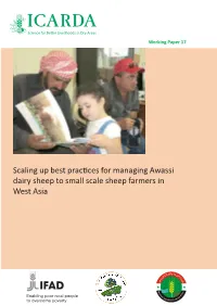 Scaling up Best Practices for Managing Awassi Dairy Sheep to Small Scale Sheep Farmers in West Asia