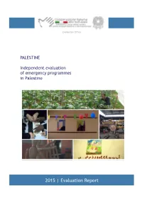 Evaluation Report INDEX