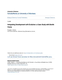 Integrating Development with Evolution: a Case Study with Beetle Horns