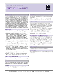 PRRT2 (P-13): Sc-161170