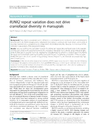 RUNX2 Repeat Variation Does Not Drive Craniofacial Diversity in Marsupials Axel H