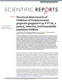 Structural Determinants of Inhibition of Porphyromonas Gingivalis