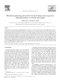 Mesoderm Patterning and Somite Formation During Node Regression: Differential Effects of Chordin and Noggin