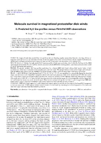 Molecule Survival in Magnetized Protostellar Disk Winds