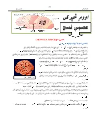 (Neuron) (Spinal Cord and Brain) Neuroglia (Support) Neuroglia