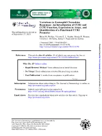 Promoter Identification of a Functional CCR1 CCR3 Function, Expression in Atopy, and Responses: an Investigation of CCR1 And