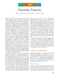 Vascular Tumors and Malformations of the Orbit