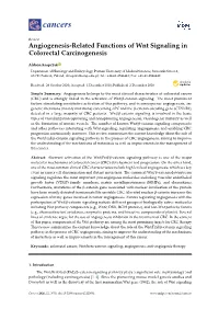 Angiogenesis-Related Functions of Wnt Signaling in Colorectal Carcinogenesis