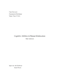 Cognitive Abilities in Human Echolocation