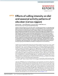 Effects of Culling Intensity on Diel and Seasonal Activity Patterns of Sika Deer