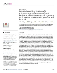 Examining Population Structure of a Bertha Armyworm, Mamestra