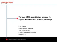 Targeted MS Quantitation Assays for Signal Transduction Protein Pathways