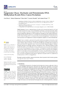 Epigenome Chaos: Stochastic and Deterministic DNA Methylation Events Drive Cancer Evolution