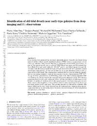 Identification of Old Tidal Dwarfs Near Early-Type Galaxies from Deep