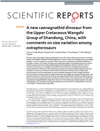 A New Caenagnathid Dinosaur from the Upper Cretaceous Wangshi