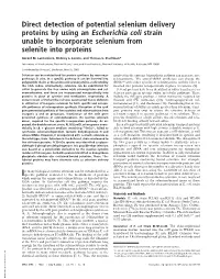 Direct Detection of Potential Selenium Delivery Proteins by Using an Escherichia Coli Strain Unable to Incorporate Selenium from Selenite Into Proteins