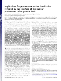 Implications for Proteasome Nuclear Localization Revealed by the Structure of the Nuclear Proteasome Tether Protein Cut8