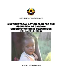 Multisectoral Action Plan for the Reduction of Chronic Undernutrition in Mozambique 2011 – 2015 (2020)