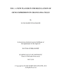 Yb-1: a New Player in Fsh Regulation of Gene