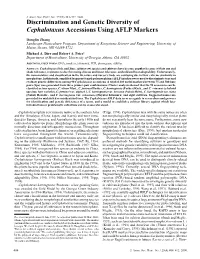 Discrimination and Genetic Diversity of Cephalotaxus Accessions Using AFLP Markers