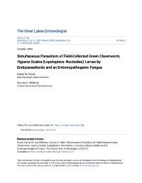 Simultaneous Parasitism of Field-Collected Green Cloverworm, Hypena Scabra (Lepidoptera: Noctuidae) Larvae by Endoparasitioids and an Entomopathogenic Fungus