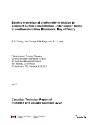 Relationships Between Benthic Macrofaunal Abundance And