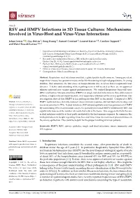 RSV and HMPV Infections in 3D Tissue Cultures: Mechanisms Involved in Virus-Host and Virus-Virus Interactions