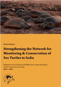Strengthening the Network for Monitoring & Conservation of Sea