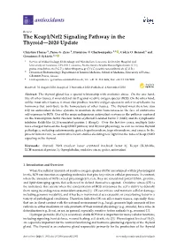The Keap1/Nrf2 Signaling Pathway in the Thyroid—2020 Update