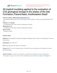 3D Implicit Modeling Applied to the Evaluation of CO2 Geological Storage in the Shales of the Irati Formation, Paraná Basin, Southeastern Brazil