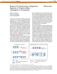 Epigenetic Minireview Aspects of Position–Effect Variegation in Drosophila