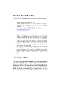 LOST SPIRIT and FOUND MEMORY: Abji Grad in The