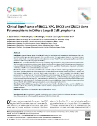 Clinical Significance of ERCC2, XPC, ERCC5 and XRCC3 Gene Polymorphisms in Diffuse Large B Cell Lymphoma
