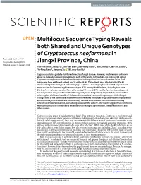 Multilocus Sequence Typing Reveals Both Shared and Unique
