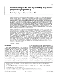 Overwintering in the Nest by Hatchling Map Turtles (Graptemys Geographica)