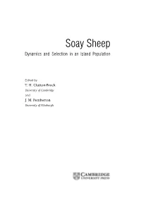 Soay Sheep Dynamics and Selection in an Island Population