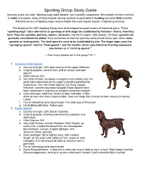 Sporting Group Study Guide Naturally Active and Alert, Sporting Dogs Make Likeable, Well-Rounded Companions