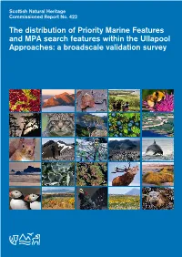 The Distribution of Priority Marine Features and MPA Search Features Within the Ullapool Approaches: a Broadscale Validation Survey