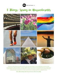 5 Things: Spring in Massachusetts