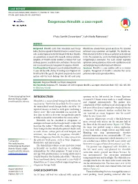 Exogenous Rhinolith: a Case Report