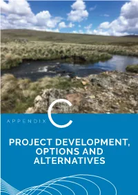 Project Development, Options and Alternatives