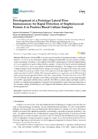 Development of a Prototype Lateral Flow Immunoassay for Rapid Detection of Staphylococcal Protein a in Positive Blood Culture Samples
