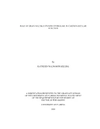 ROLE of BRAIN SOLUBLE EPOXIDE HYDROLASE in CARDIOVASCULAR FUNCTION by KATHLEEN WALWORTH SELLERS a DISSERTATION PRESENTED TO